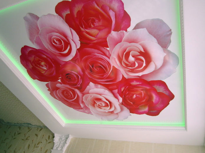 stretched fabric with photo printing in the form of a rose