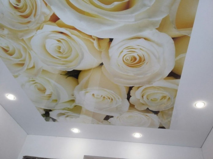 stretched fabric with photo printing in the form of a rose
