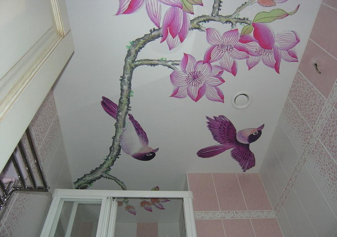 matte stretch ceiling with photo printing