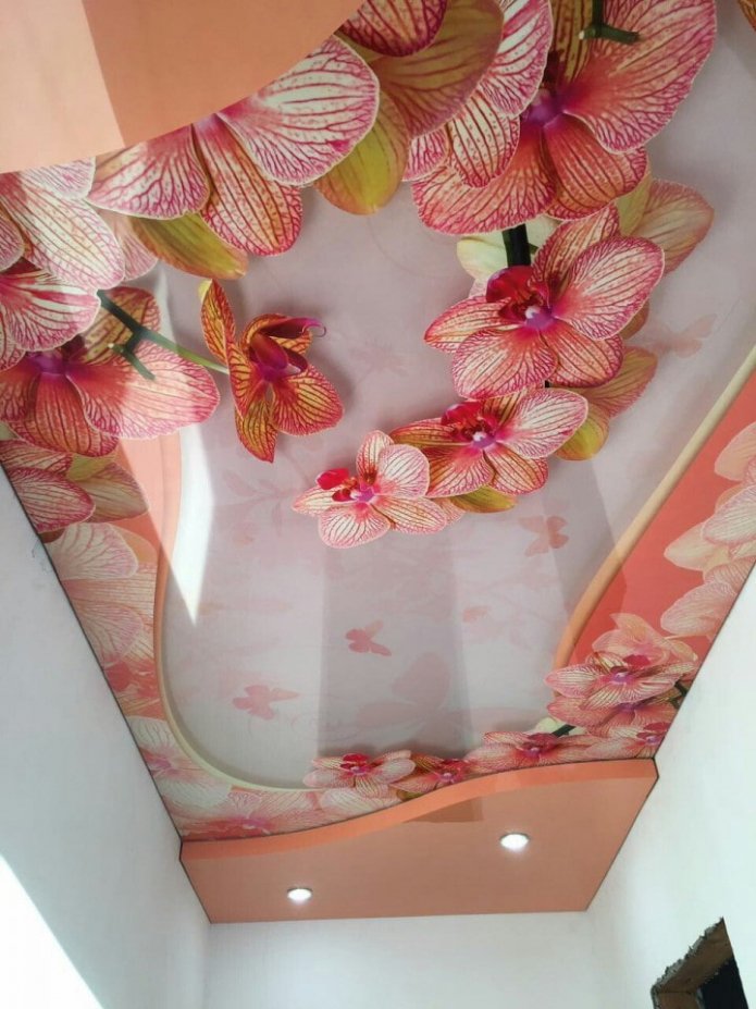 pink stretch ceiling with photo printing