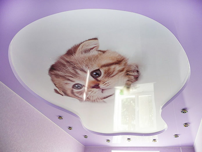 two-level stretch structure with photo printing