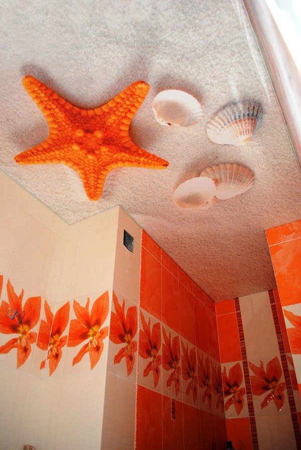 ceiling with beach image in the bathroom