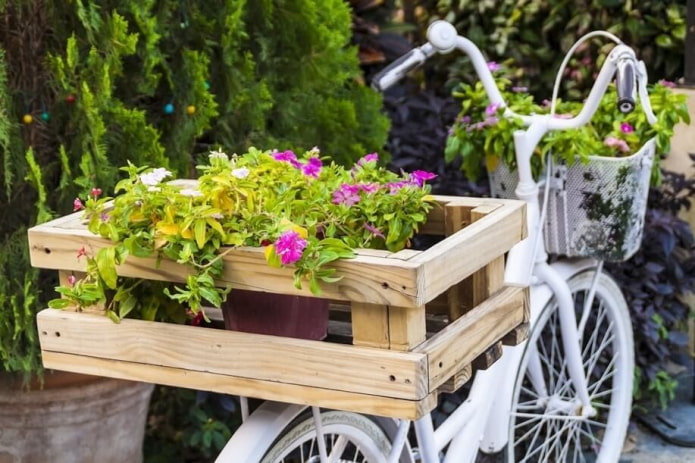 bicycle as a flowerbed