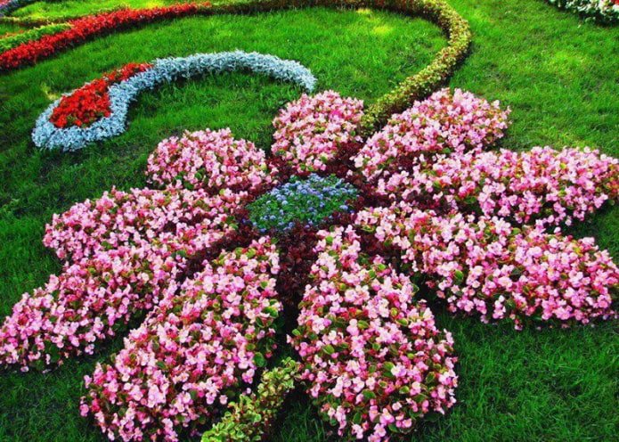 figured flowerbed