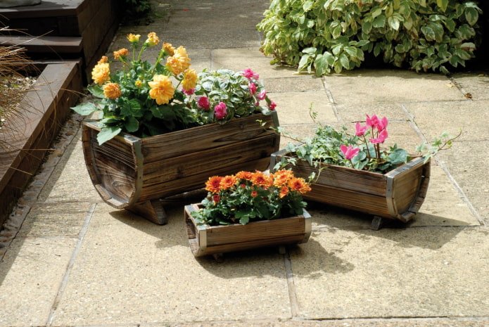 a flowerbed in a barrel