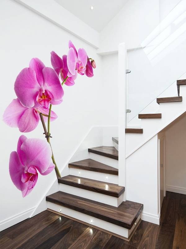 photo wallpaper with orchid