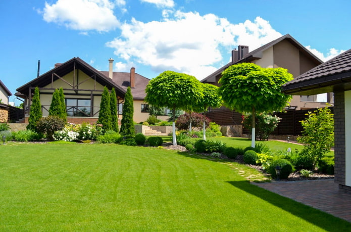 flat lawn