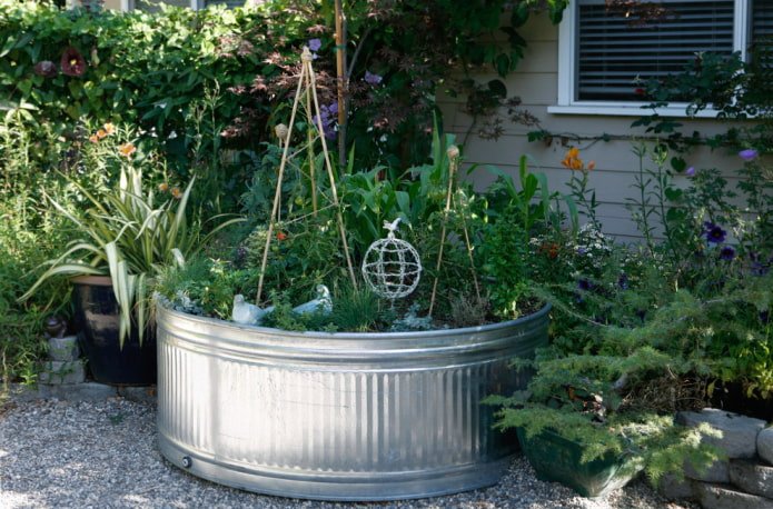 Vegetable garden in a barrel