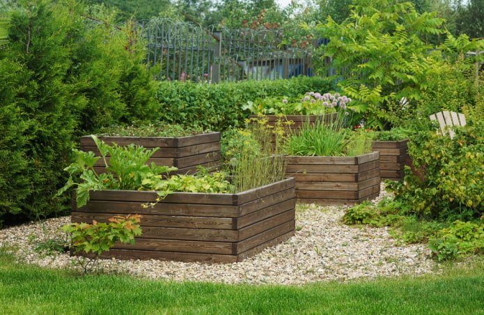 A vegetable garden with raised beds