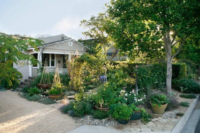 Vegetable garden in the front garden