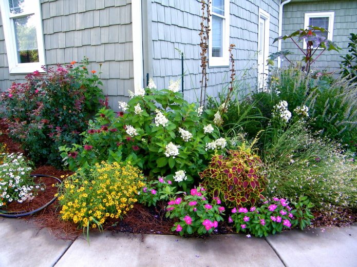 Flowerbed near the house
