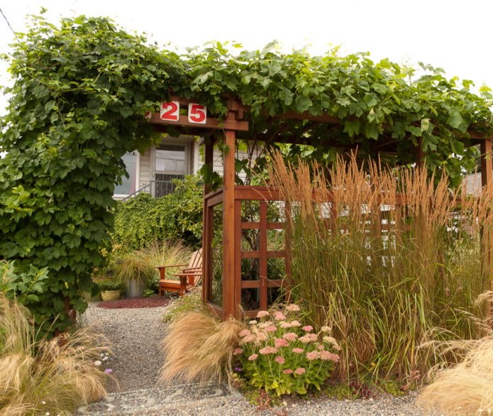 Natural garden