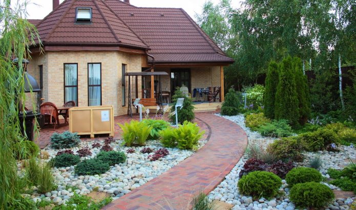 Front garden with conifers