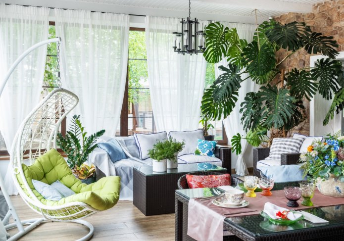 Monstera on the veranda