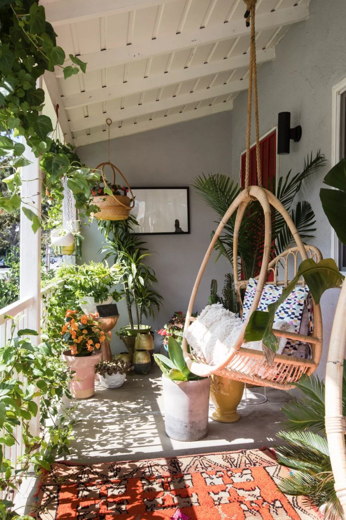 Plants and a hanging chair