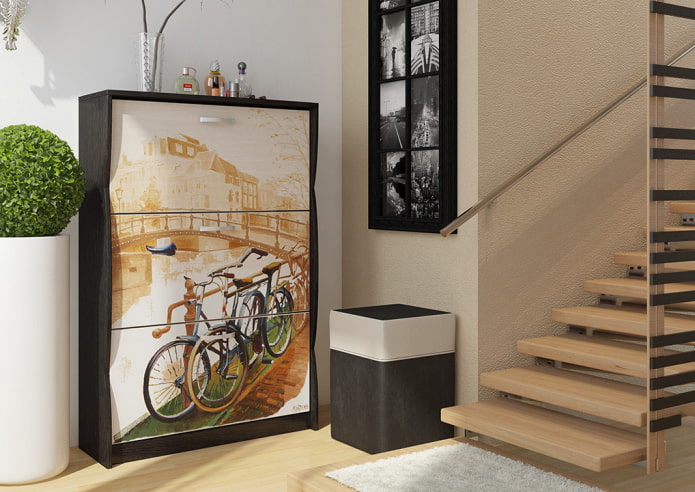 shoe rack with pictures in the hallway interior