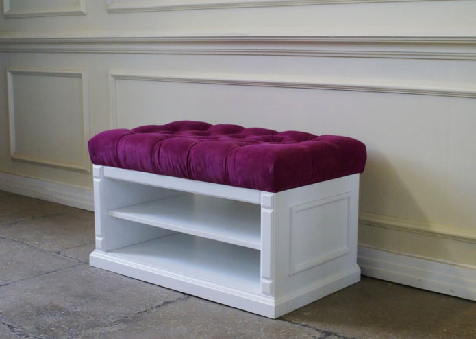 shoe rack with carriage coupler in interior of the hallway