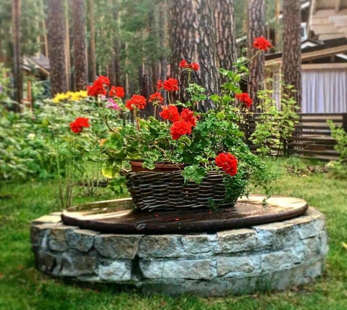 basket with red flowers on a septic tank