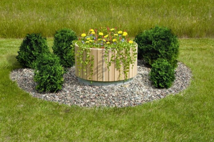 flower bed with wooden border on septic tank