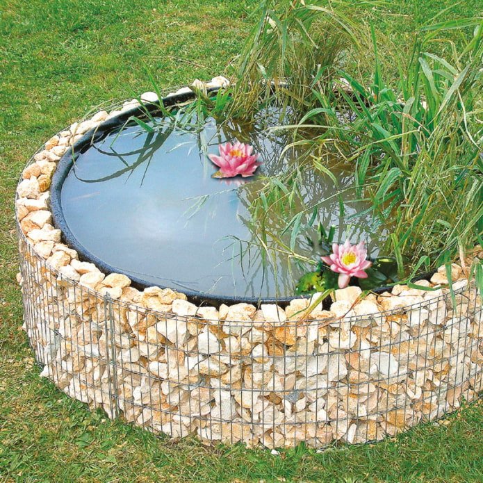 gabion pond on a septic tank hatch