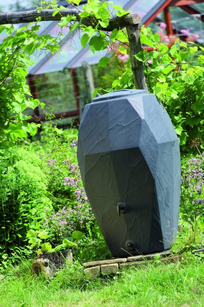 rain barrel on the septic tank hatch