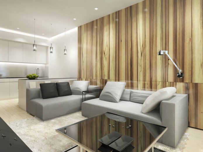 kitchen-living room in the style of minimalism