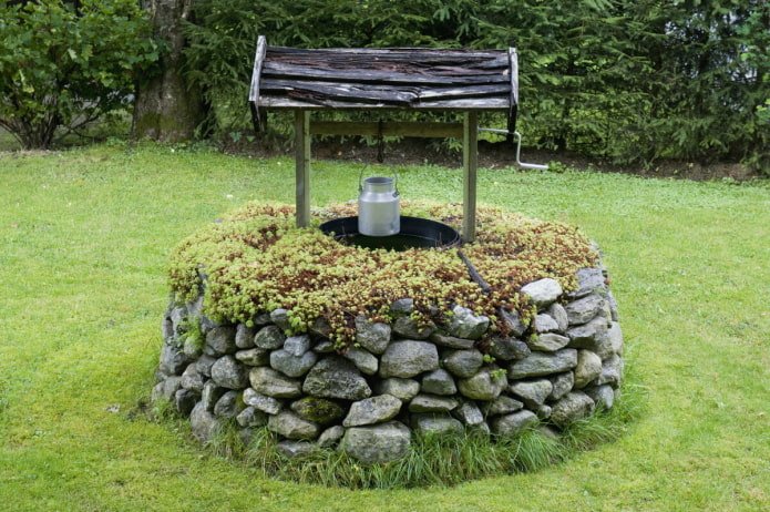 stone well in moss