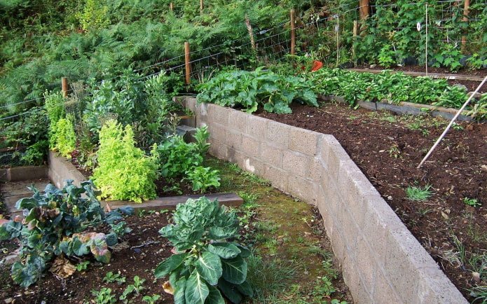 beds on a slope