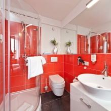 Bathroom interior in a modern style: 60 best photos and design ideas-11