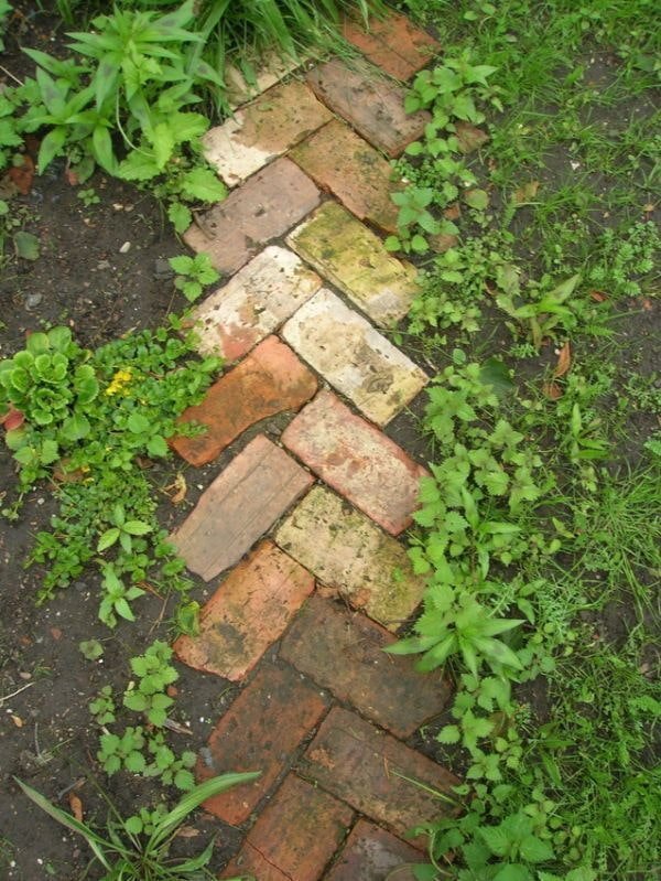 Path
