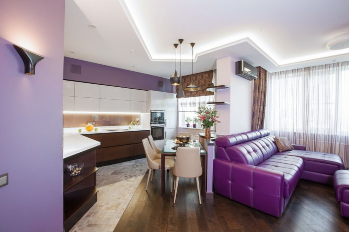 organization of light in the interior of the kitchen-living room