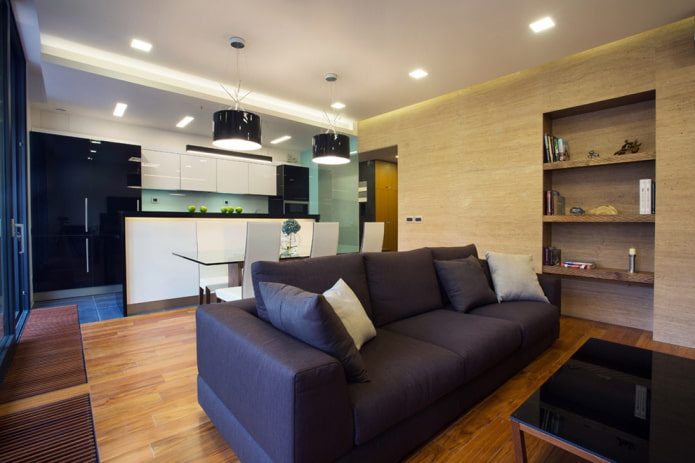 organization of light in the interior of the kitchen-living room