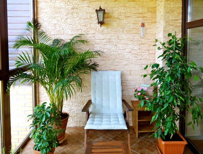 Flowers and sandstone on the balcony