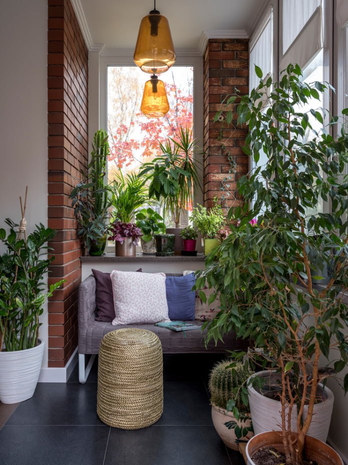 Houseplants and red brick