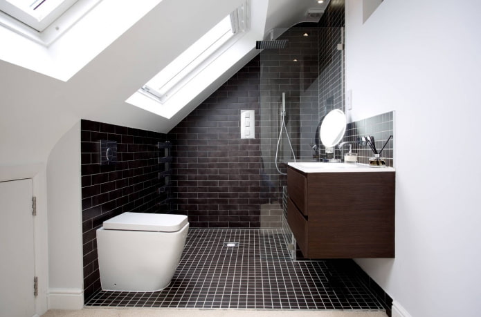 toilet in the attic