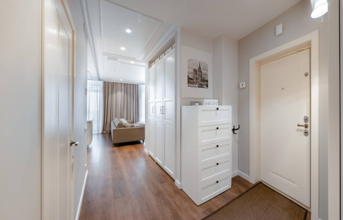 light entrance door in the hallway