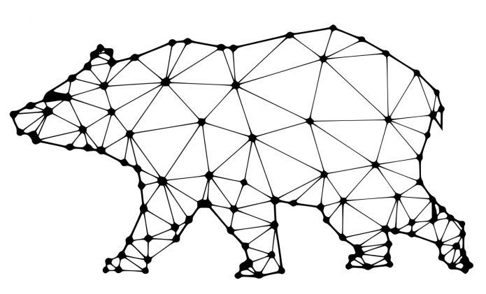 bear pattern