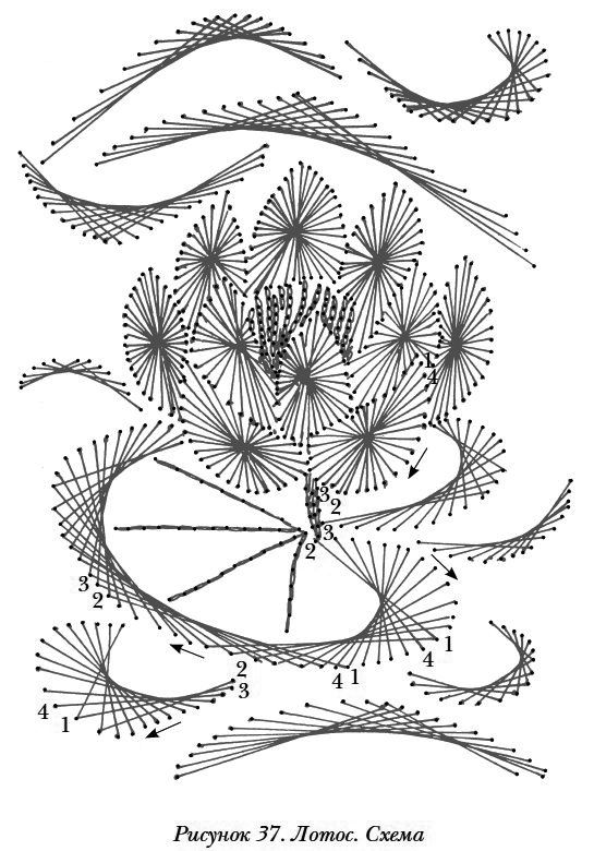 lotus pattern