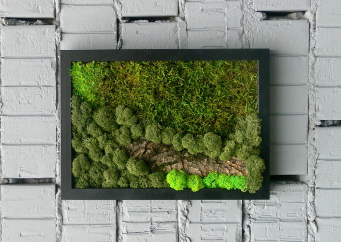 moss panel on the wall in the interior