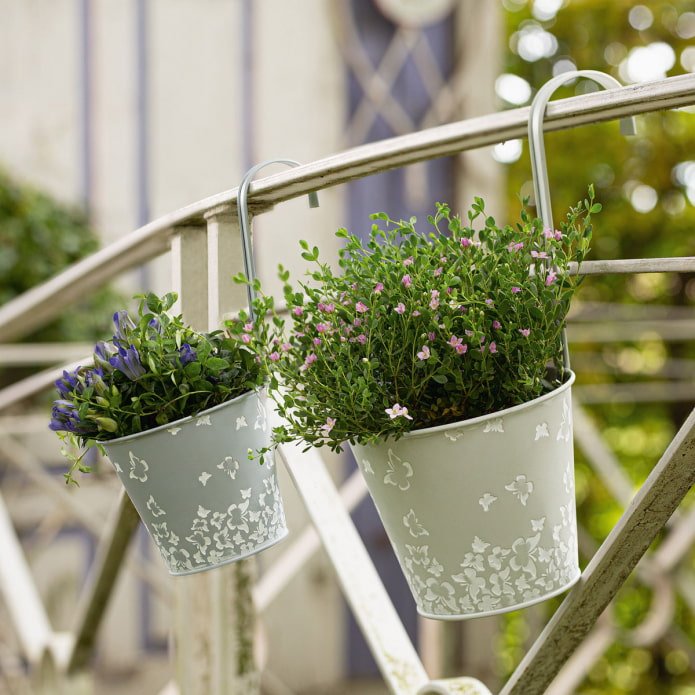 hanging flowerpots from buckets