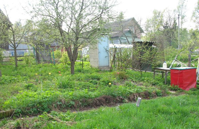 Plot before renovation
