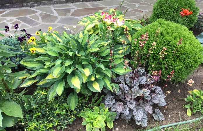 Flowerbed