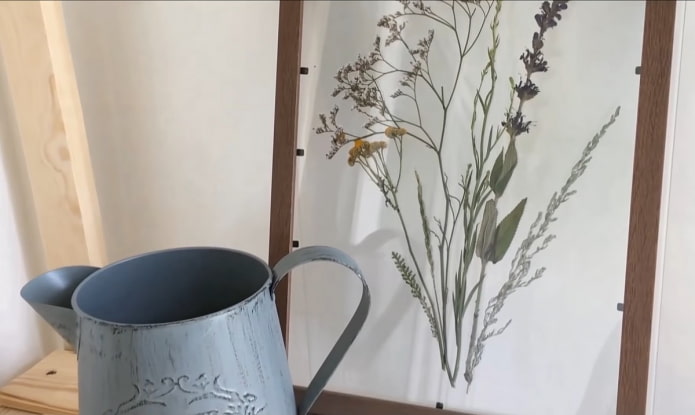 herbarium in the interior
