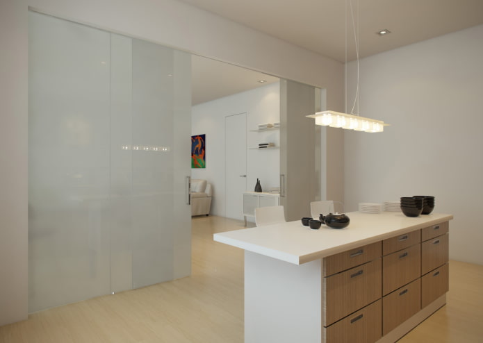 plastic partition in the kitchen-living room interior