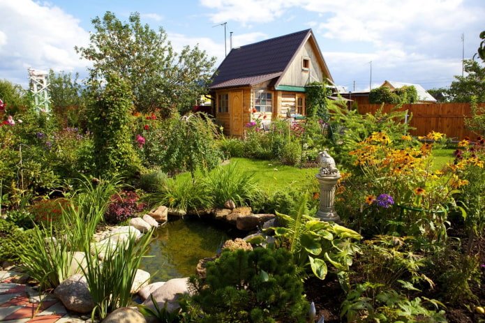 pond on a summer cottage