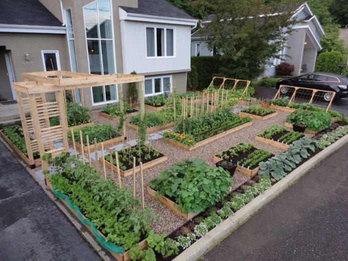 neat vegetable garden near the house
