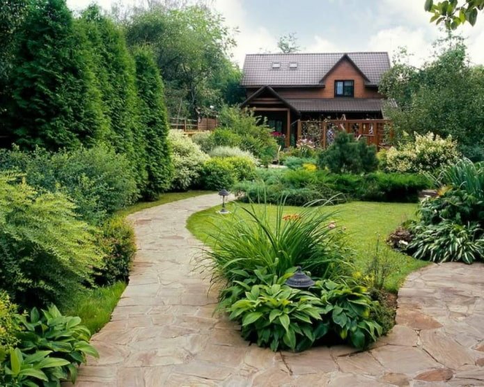 dacha landscape design