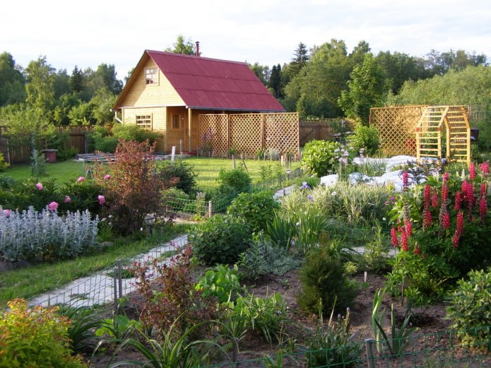 simple landscape design