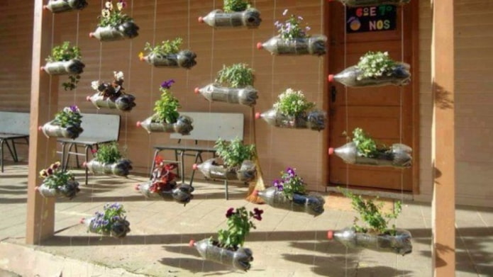 vertical flower beds from bottles
