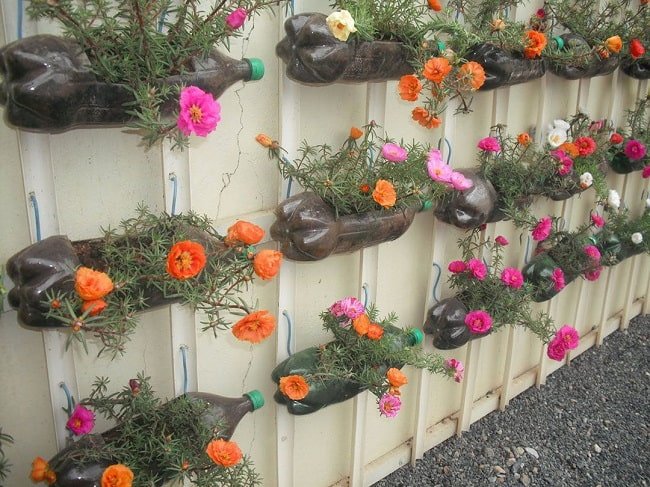 flower beds from bottles on a fence